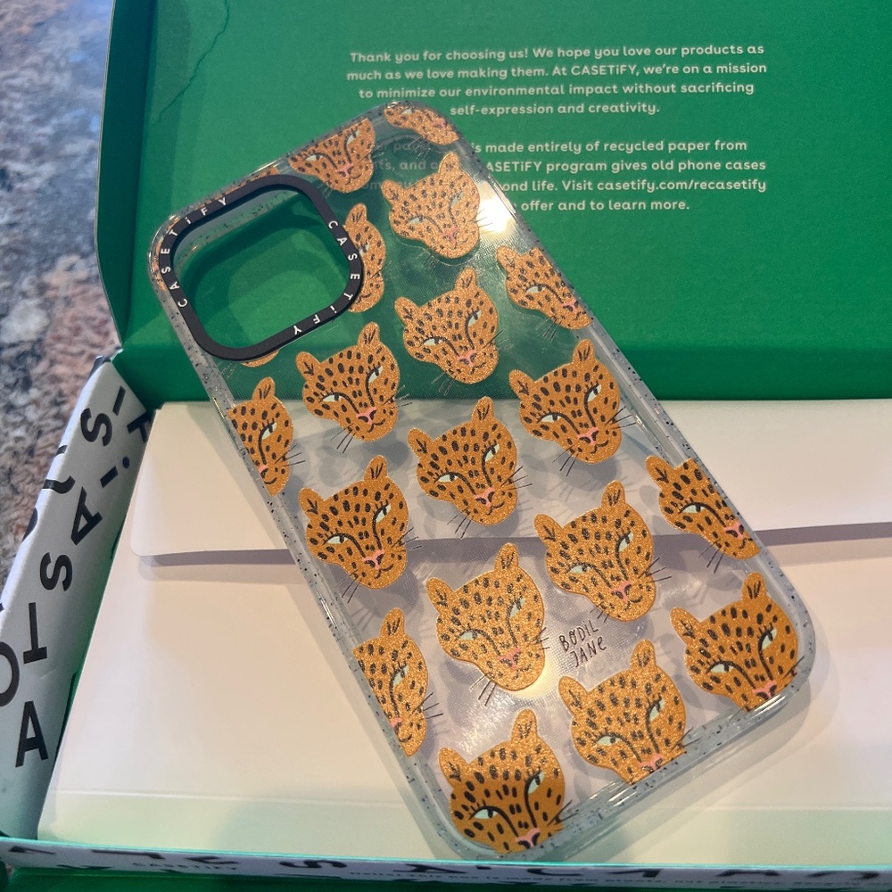 iPhone 13 Pro Max Casetify Case